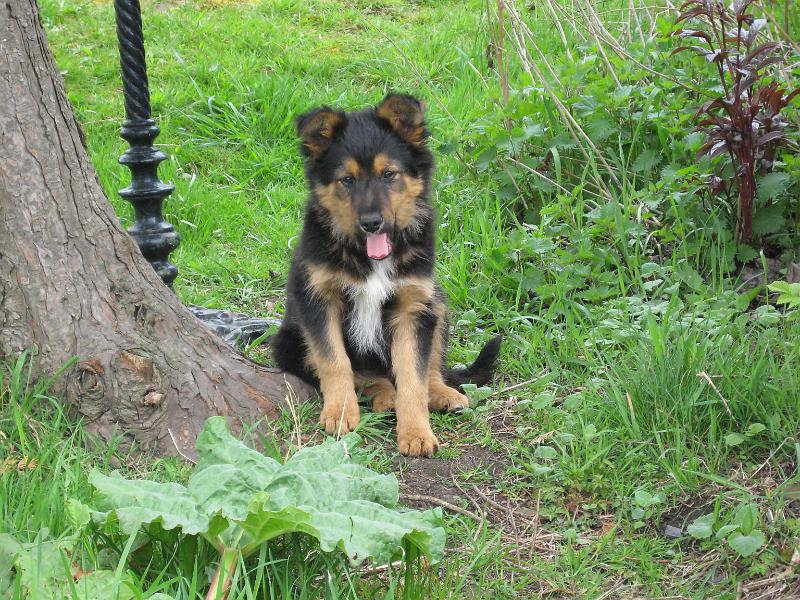 Charlie Spinks 40th 021.jpg